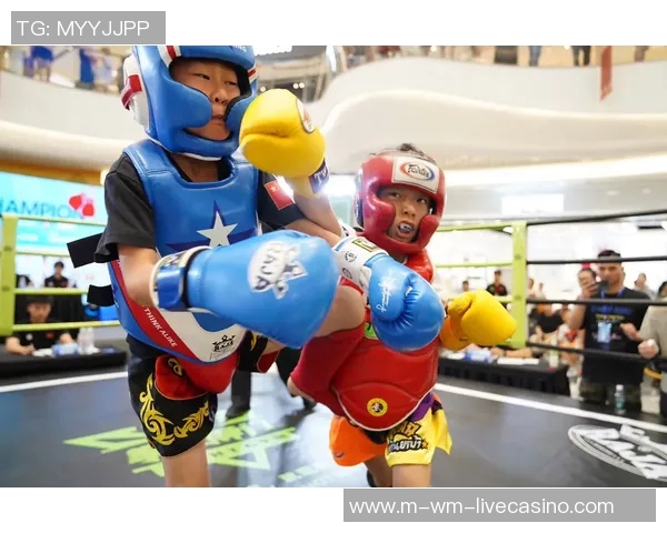 拳击与搏击的全面对比分析谁才是格斗界的王者之争