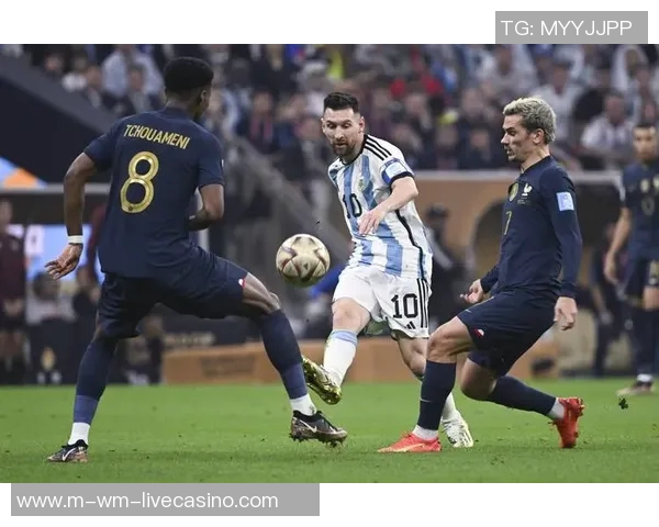 费雷拉与吉马良斯的精彩对决揭示足球战术的魅力与团队合作的重要性